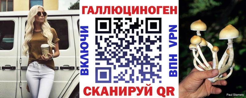 где можно купить наркотик  kraken зеркало  Псилоцибиновые грибы GOLDEN TEACHER  Благовещенск 