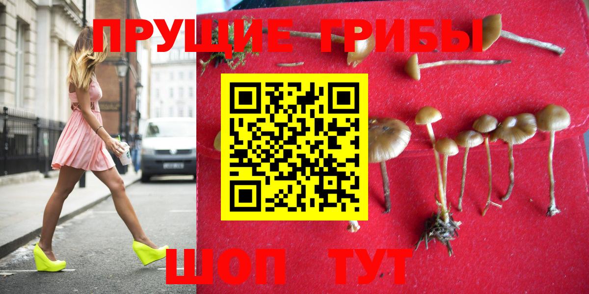 Галлюциногенные грибы ЛСД  Галлюциногенные грибы MAGIC MUSHROOMS  Благовещенск  Вход с VPN 